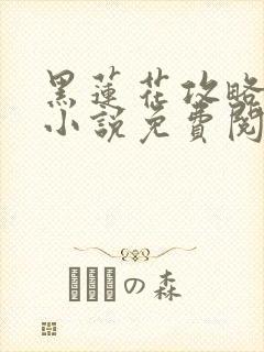 黑莲花攻略手册小说免费阅读全文封面