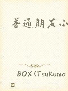 普通朋友小说封面