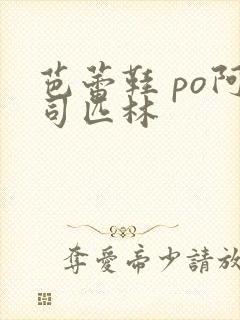 芭蕾鞋 po阿司匹林