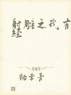 射雕之我有太玄经