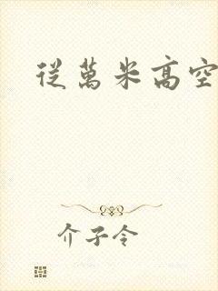 从万米高空降临封面