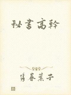 秘书高干