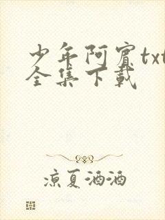 少年阿宾txt全集下载封面