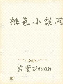 桃色小说网封面