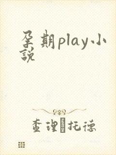 孕期play小说封面
