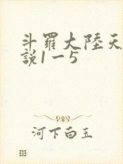 斗罗大陆天狂传说1一5