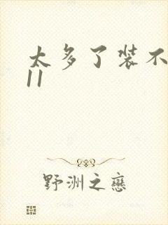 太多了装不下H11