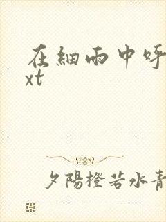 在细雨中呼喊txt