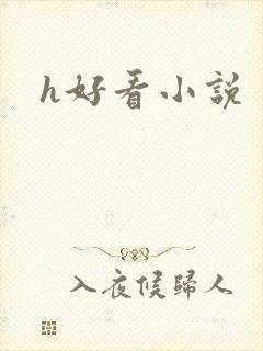 h好看小说