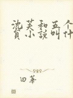 沈芙和五个消防员小说叫什么封面