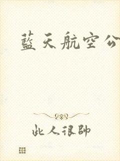 蓝天航空公司封面