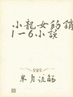 小龙女的销魂夜1一6小说