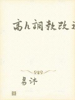 高h调教改造文