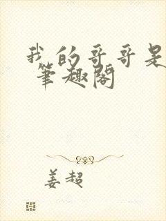 我的哥哥是高欢 笔趣阁