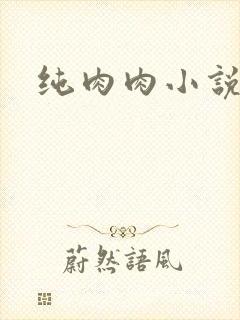 纯肉肉小说