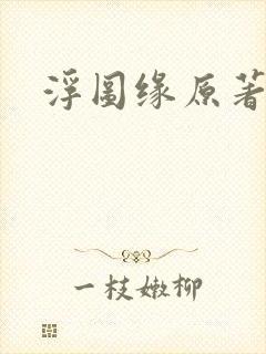 浮图缘原著小说