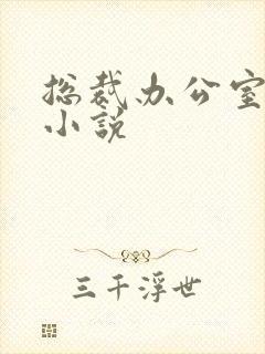 总裁办公室激情小说封面