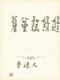 翁公和媛媛在厨房里猛烈进出