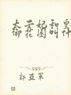 太子妃和皇帝在御花园叫什么小说