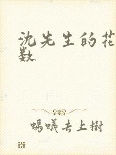 沈先生的花式调数