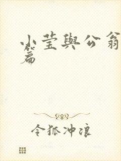 小莹与公翁第八篇封面