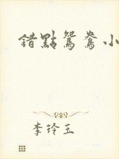 错点鸳鸯小说封面