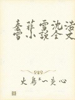 秦菲雪沈浩秦菲雪小说全文免费阅读求书