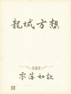龙城方想封面
