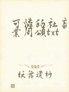 可怜的社畜 商业周颂txt