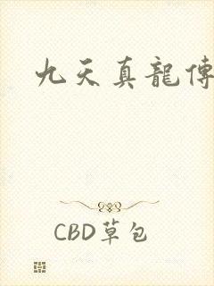 九天真龙传封面