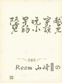 陆星晚穿越成婴儿的小说免费阅读全文