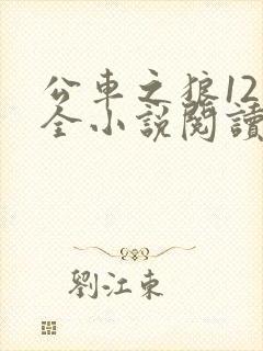 公车之狼12集全小说阅读