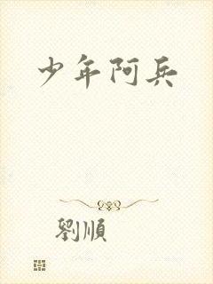 少年阿兵封面