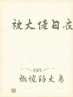 被大佬日夜封面