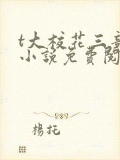 t大校花三部曲小说免费阅读全文封面