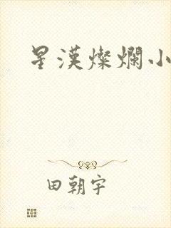 星汉灿烂小说封面
