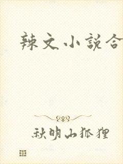 辣文小说合集封面