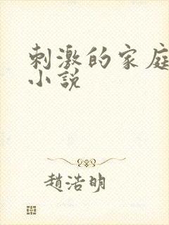 刺激的家庭乱仑小说封面