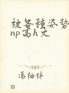 被各种姿势玩弄np高h文