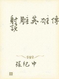 射雕英雄传 小说封面