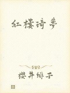 红楼琦梦