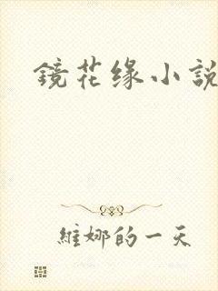 镜花缘小说封面