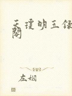 天琼明玉录笔趣阁