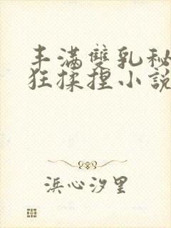 丰满双乳秘书被狂揉捏小说