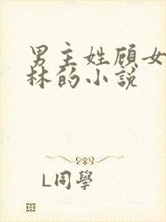 男主姓顾女主姓林的小说