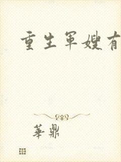 重生军嫂有空间