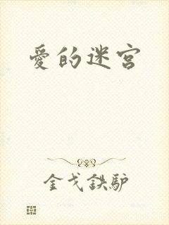 爱的迷宫