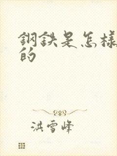 钢铁是怎样练成的封面