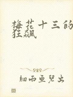 梅花十三的乳液狂飙封面