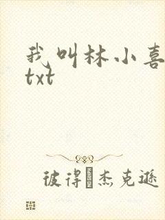 我叫林小喜小说txt